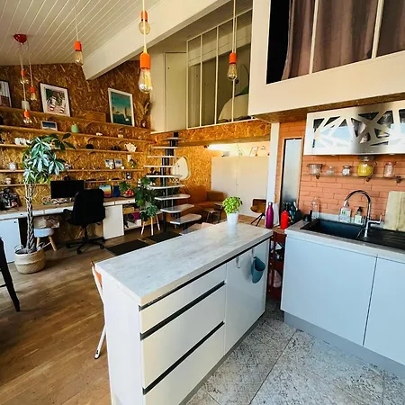 Le Nid - Duplex Atypique Avec Vue Sur Les Toits بوردو